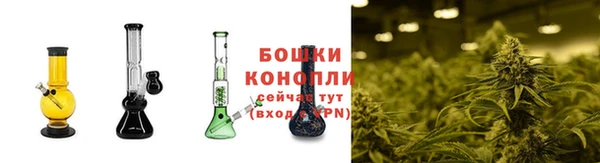 ПСИЛОЦИБИНОВЫЕ ГРИБЫ Надым