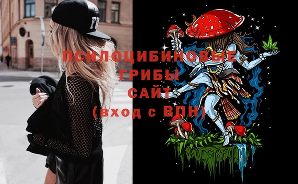 ПСИЛОЦИБИНОВЫЕ ГРИБЫ Надым