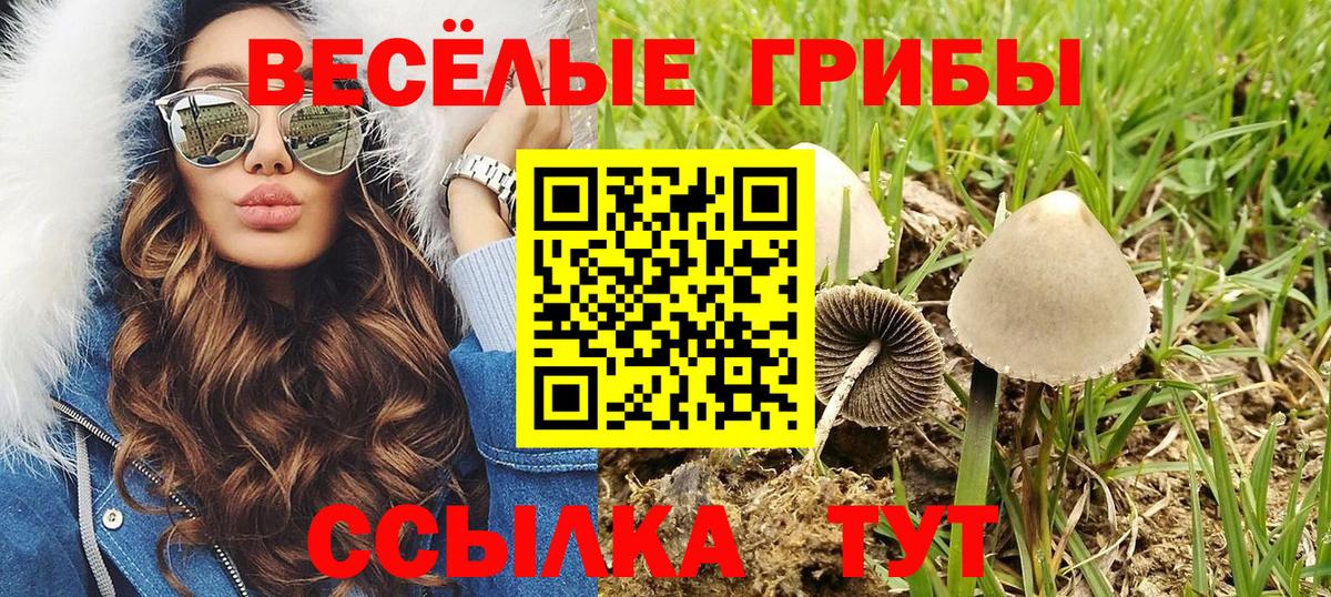 Псилоцибиновые грибы мухоморы Якутск