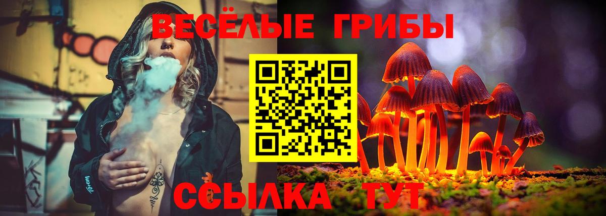 Якутск  Галлюциногенные грибы Psilocybine cubensis  Галлюциногенные грибы ЛСД  Вход с VPN 