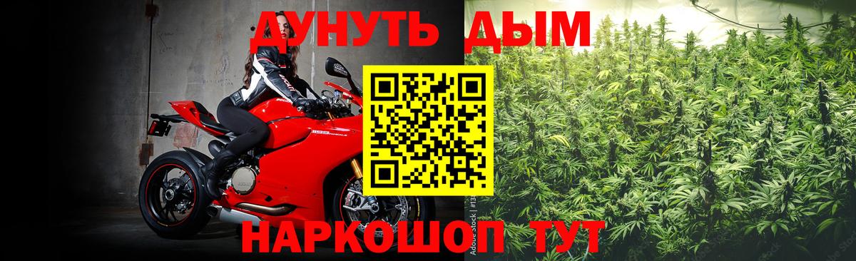 Конопля сатива  МАРИХУАНА конопля  Вход с VPN  Якутск 
